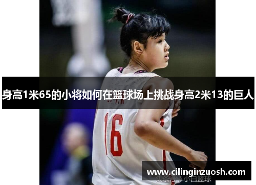 身高1米65的小将如何在篮球场上挑战身高2米13的巨人